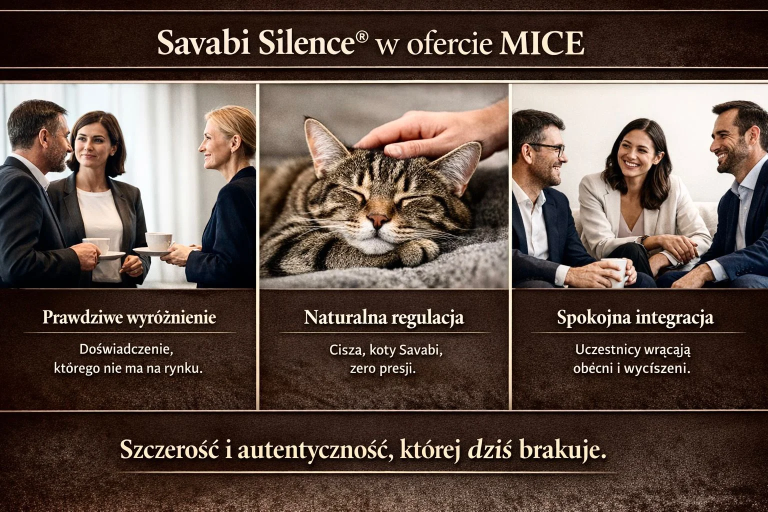 Sesja Savabi Silence w Instytucie Kota Savabi – szczerość i autentyczność w nowoczesnym wellbeing dla biznesu z kotem rasy Savabi wspierającym biologiczną regulację napięcia