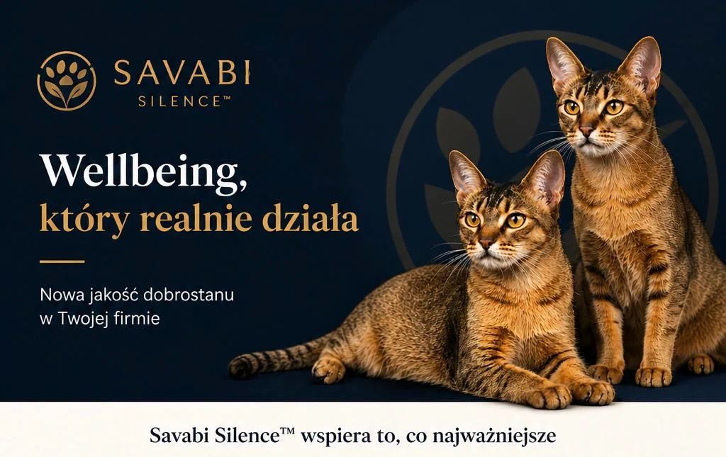 Wellbeing pracowników w firmie – Savabi Silence jako nowa kategoria biologicznej regulacji napięcia dla zespołów i kadry zarządzającej w Instytucie Kota Savabi
